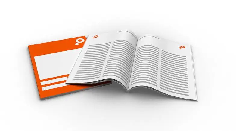 100 Broschüren mit Klebebindung 100 Broschüren mit Klebebindung